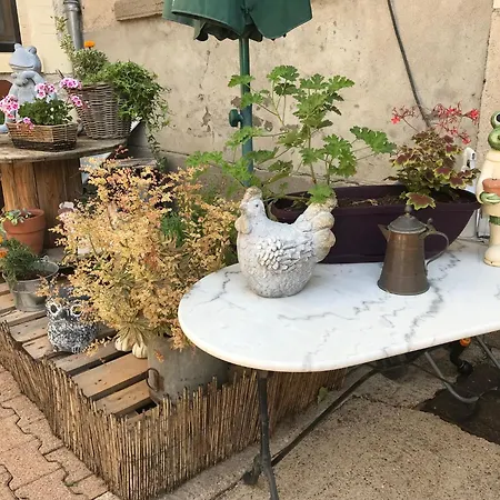 Dort Bed & Breakfast 3*