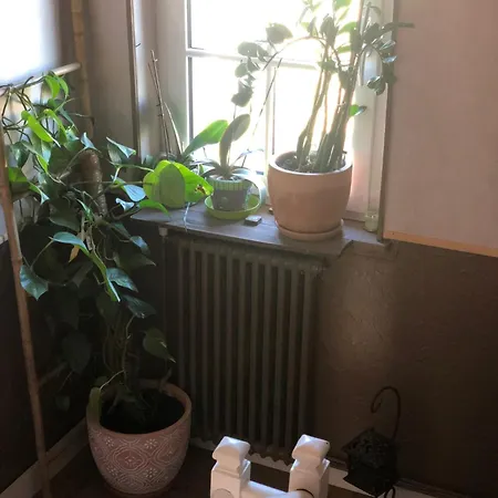 Bed & Breakfast Dort 3*