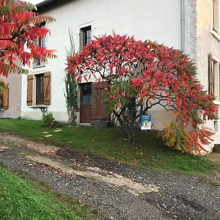 Bed & Breakfast Dort 3*